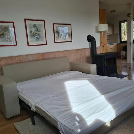 Spacious Near In Appartement Frankenau